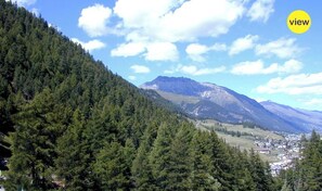 Un paysage montagneux, avec de vastes forêts et un petit village.