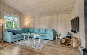 Televisor i llar de foc 
