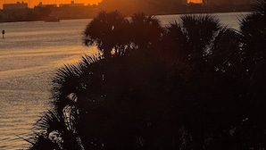 A sunset over a body of water with silhouettes of palm trees and a city skyline in the background. - Spacious 4-bedroom house with WiFi, Pool, Six TVs, AC in enjoyable Naples (Naples)