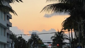 A street scene with palm trees, cars, and buildings during sunset. - Spacious 4-bedroom house with WiFi, Pool, Six TVs, AC in enjoyable Naples (Naples)