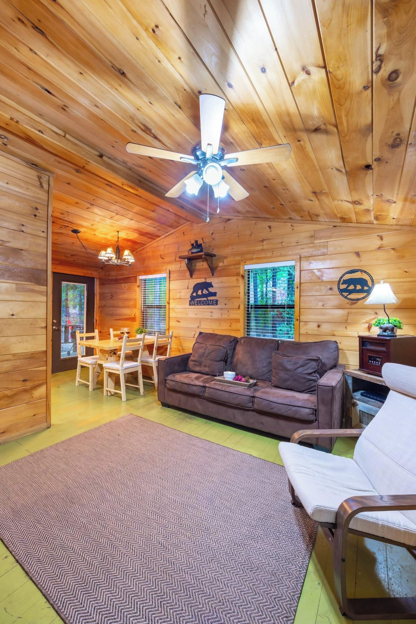 TV, fireplace, DVD player