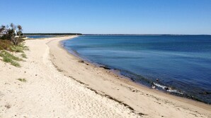 A sandy beach with clear blue water, a few birds, and a distant shoreline.