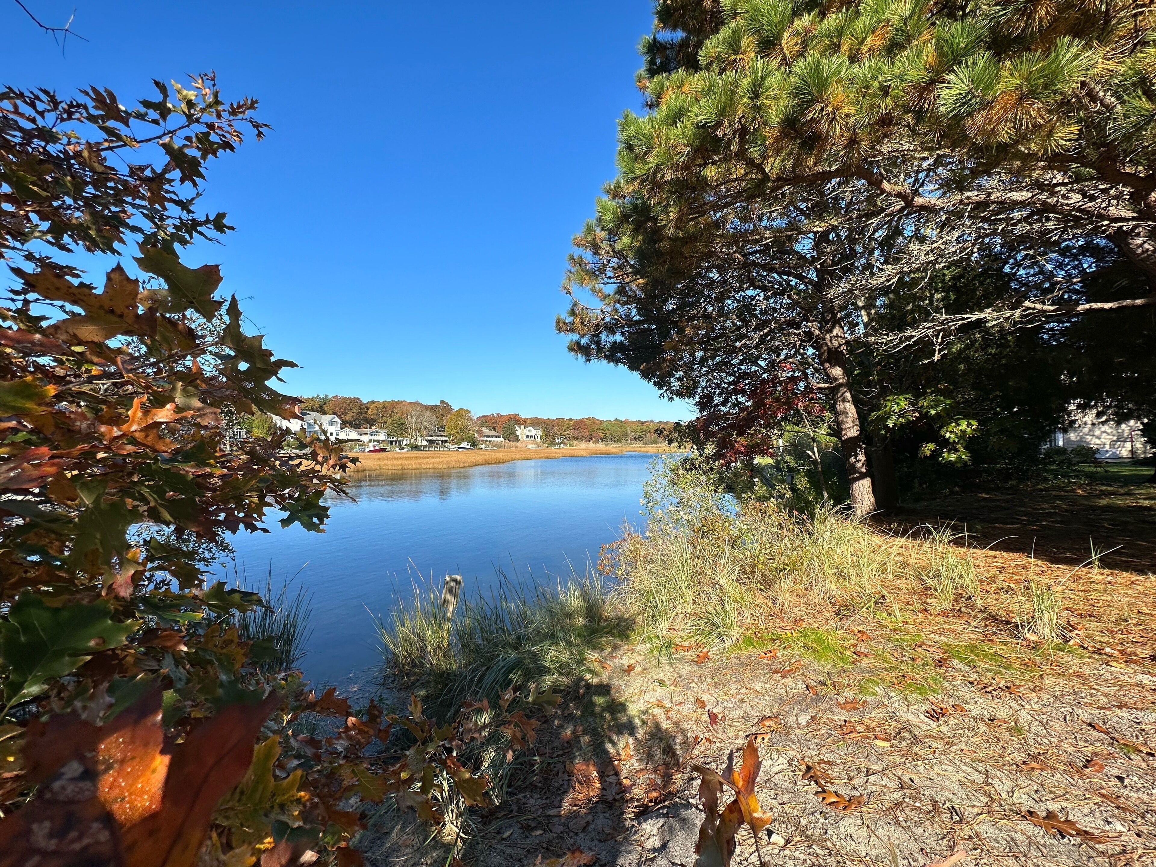 Plage à proximité, chaises longues