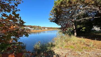 Plage à proximité, chaises longues