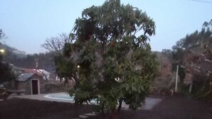 A backyard with a tree, a small shed, and a fire pit surrounded by stones. - Casa do Adro-Passadiços do Paiva (Espiunca)