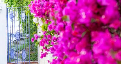 Casa Azzurra apartment with garden by the sea
