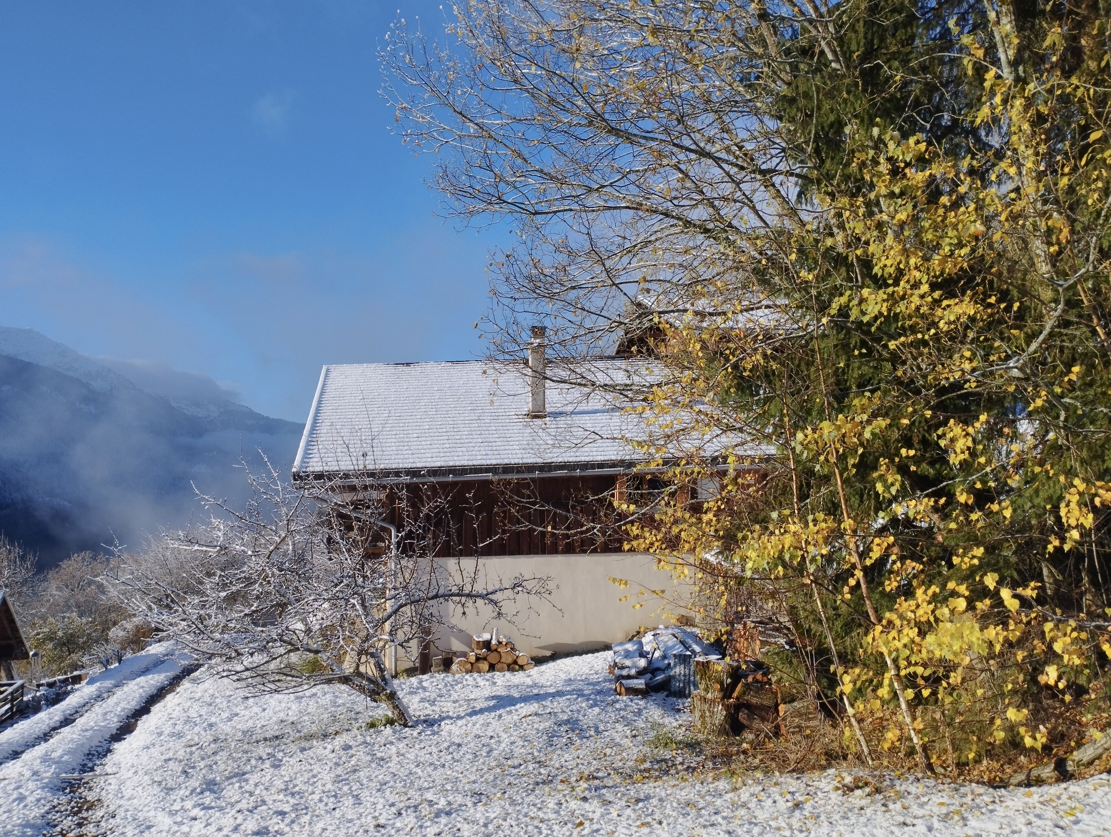 A rustic cabin with a snow-covered roof, surrounded by trees and a mountainous backdrop.