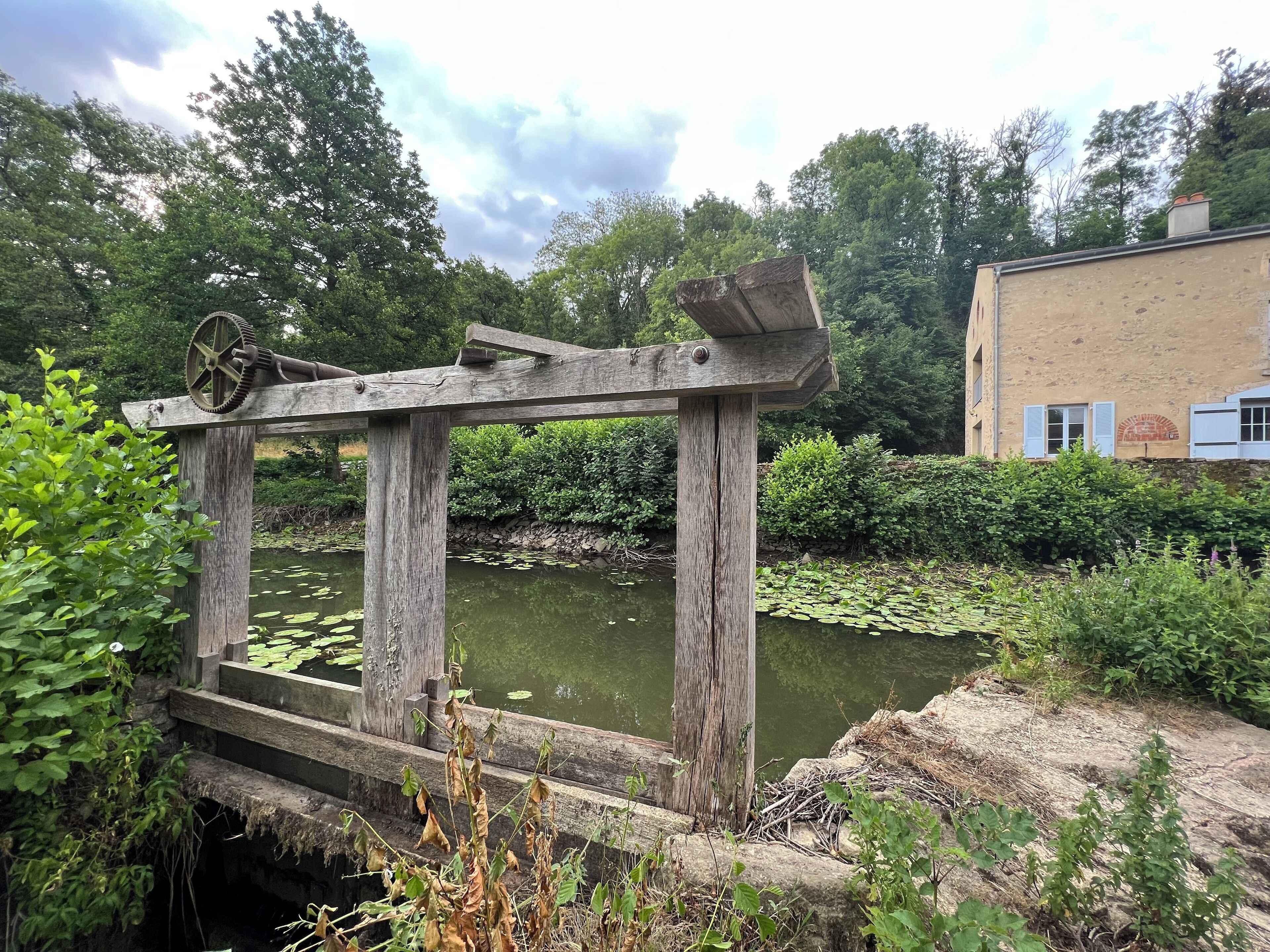 A rustic wooden bridge over a pond with lily pads, surrounded by lush greenery and a building with a rustic facade.