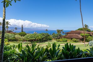 Property grounds - 3BR Ka’anapali Retreat | Ocean Views, Gorgeous renovation, Walk to Beach (Lahaina)