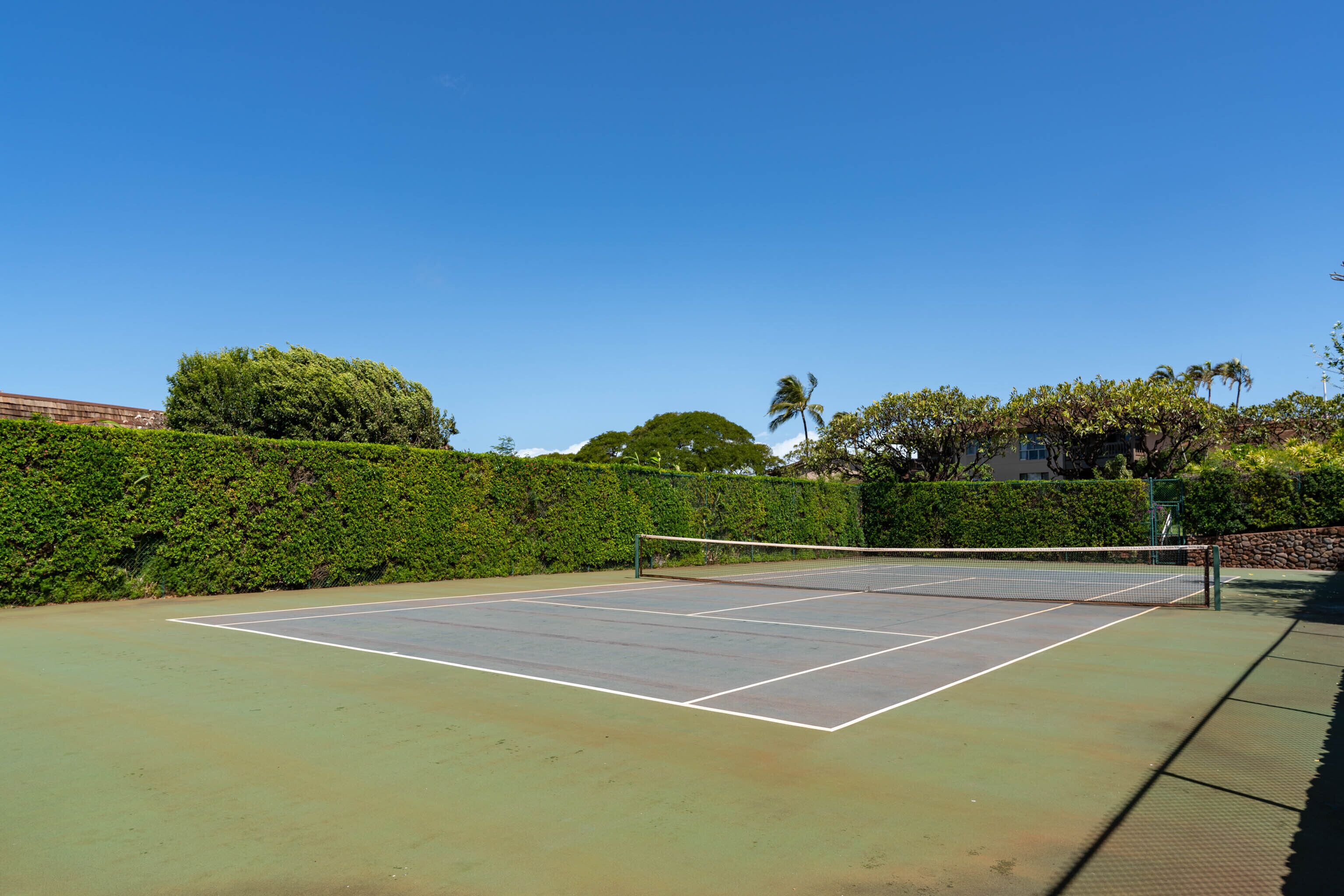 Sport court