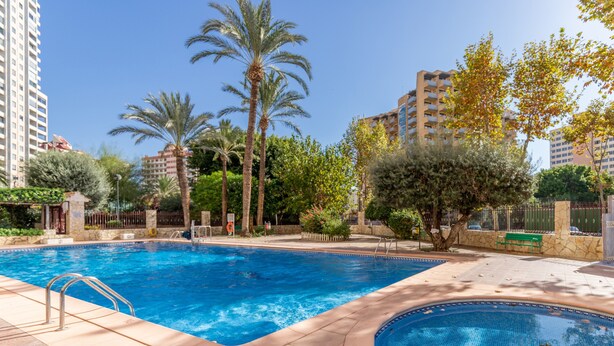 A swimming pool with a tiled deck, surrounded by palm trees and a stone wall. - Apartment Moby Dick with Sea View, Shared Pool & Wi-Fi (Benidorm)