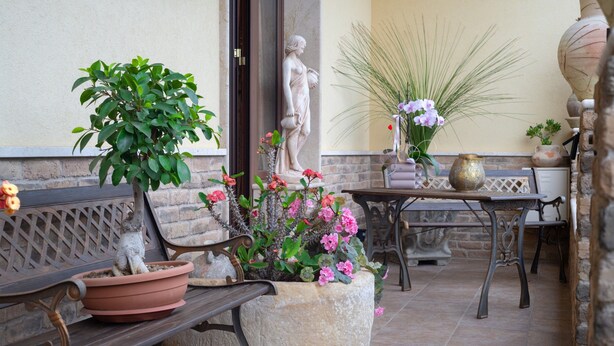 A patio with a bench, potted plants, a statue, and a decorative vase.