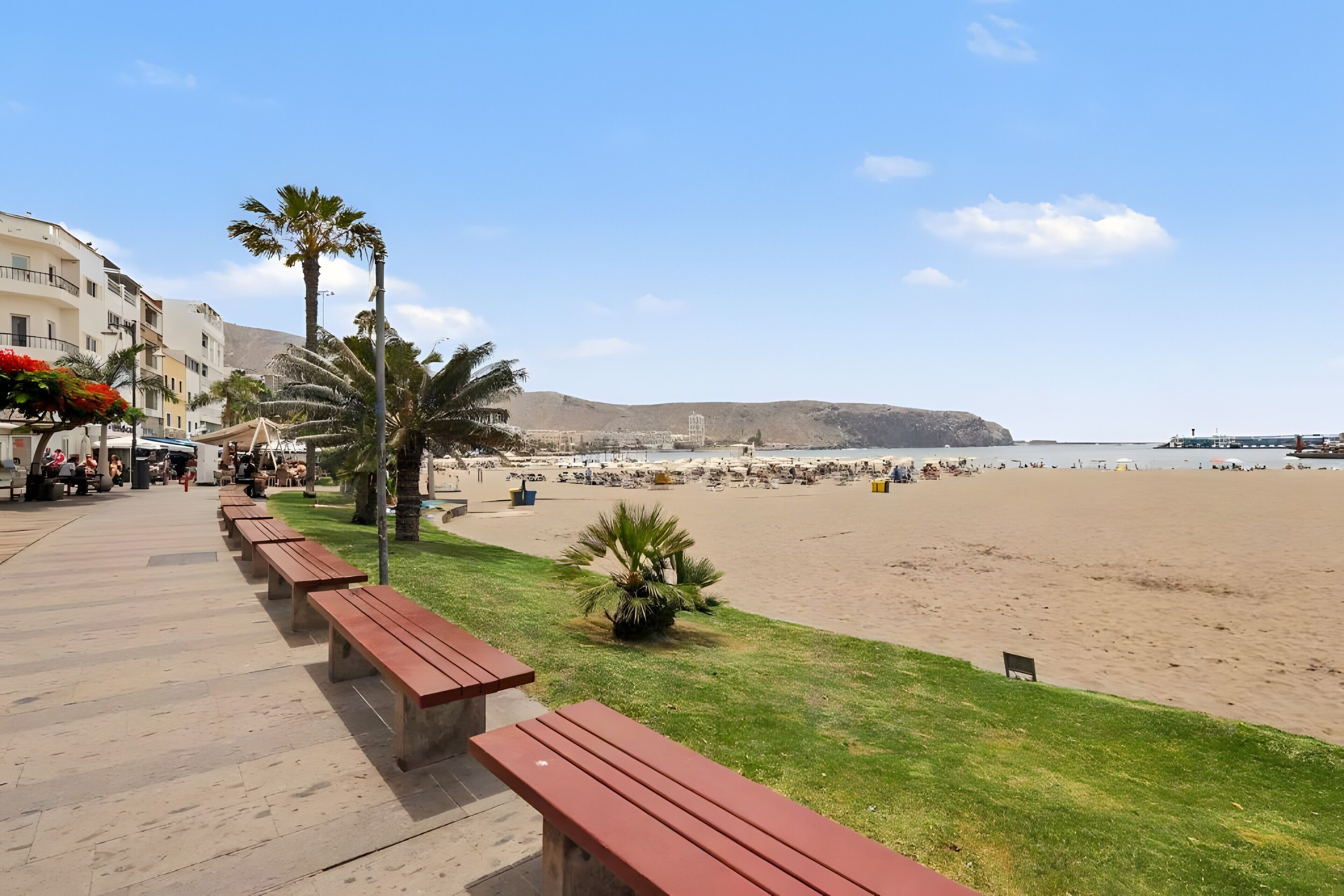 A beachside promenade with benches, palm trees, and a view of the beach and distant buildings.