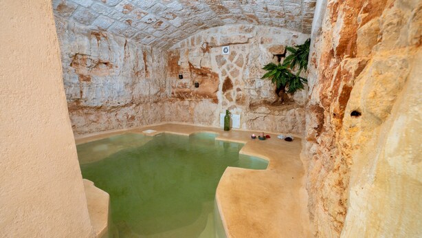 A stone-walled room with a small pool and a potted plant.