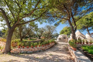 المنطقة المحيطة بالمنشأة