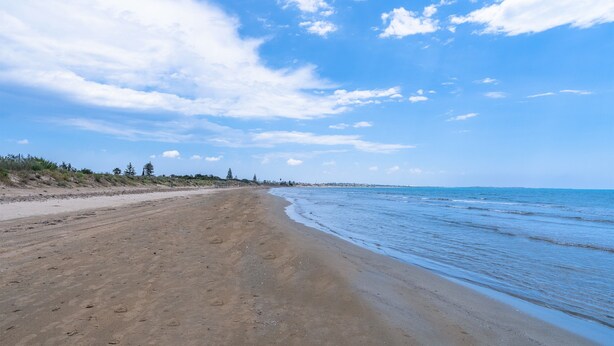 Una platja amb sorra, cel blau i mar tranquil·la.