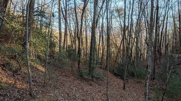 Kabin, 2 kamar tidur | Halaman properti