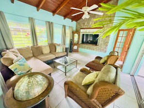 Téléviseur connecté, lecteur de DVD, livres