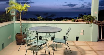 Caribbean Villa with private pool & ocean view in the heart of Montserrat .
