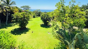 A lush garden with a clear view of the ocean.