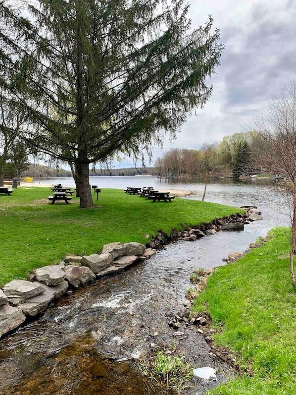 A riverside picnic area with benches and a large tree.