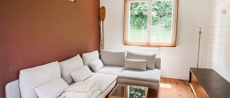 TV connectée, cheminée, livres