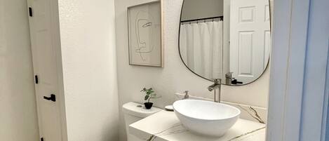 A bathroom with a white toilet, a sink with a large mirror above it, and a small potted plant on the counter.