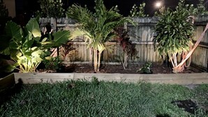 Ein Garten mit verschiedenen Pflanzen und einem Holzzaun im Hintergrund.
