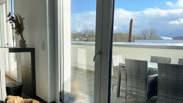 A dog resting near a sliding glass door on a balcony with wicker furniture and a view of the sky and buildings.