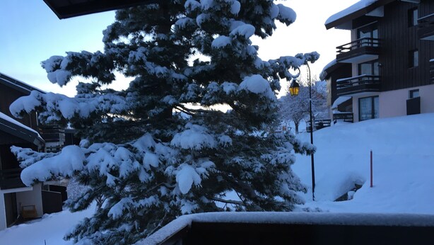 A snow-covered building with a balcony and a large evergreen tree in front. - Plagne Montalbert Studio 4 people (Montalbert)