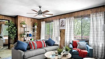 TV, fireplace, books, streaming services