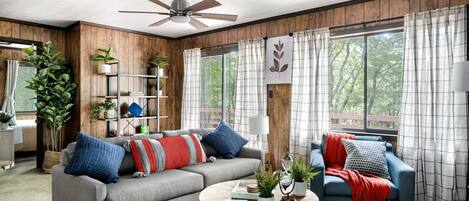 Televisor, llar de foc, llibres i serveis de streaming