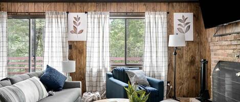 TV, fireplace, books, streaming services