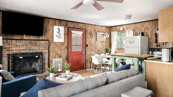 Télévision, cheminée, livres, services de streaming