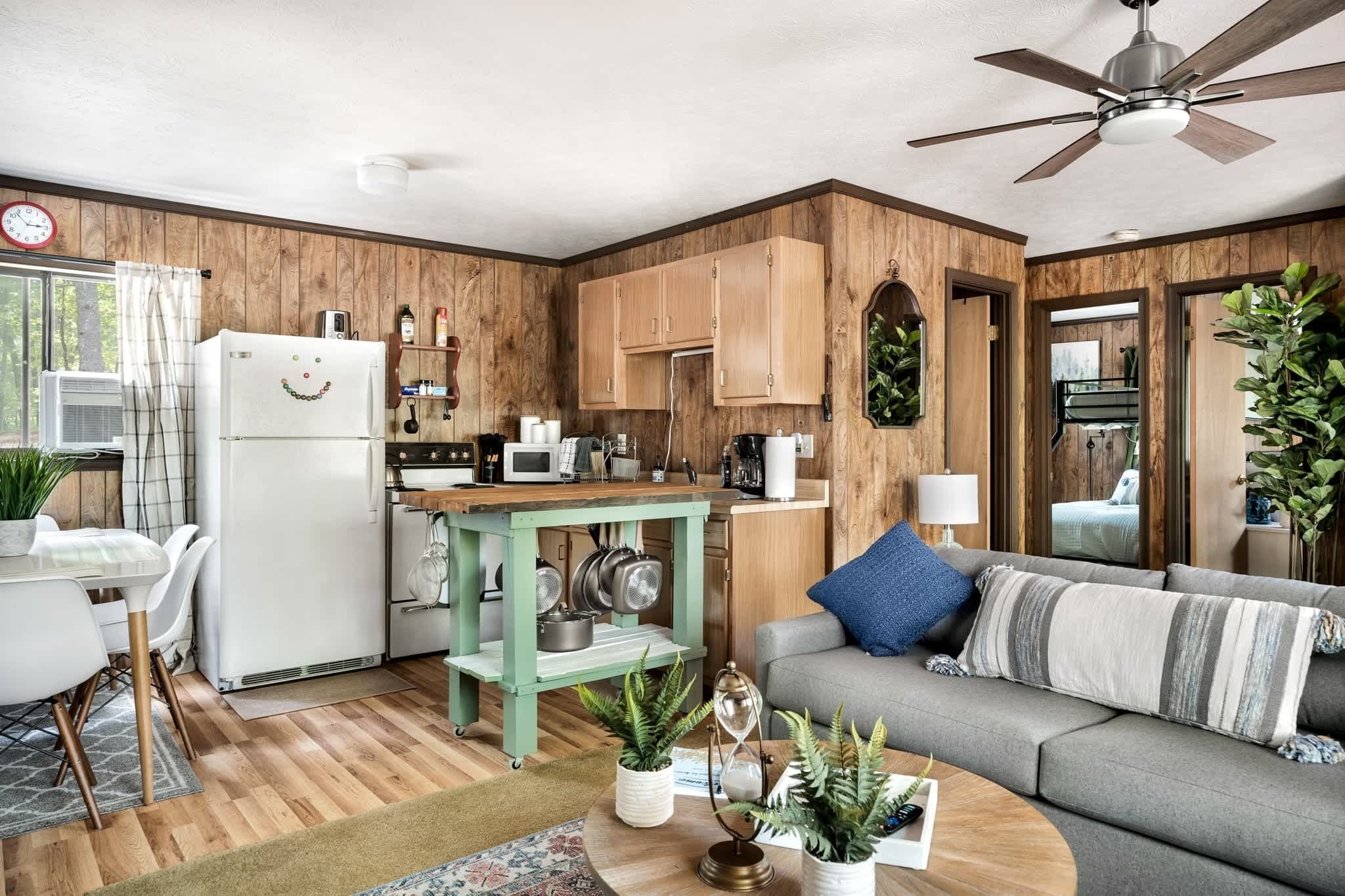 TV, fireplace, books, streaming services