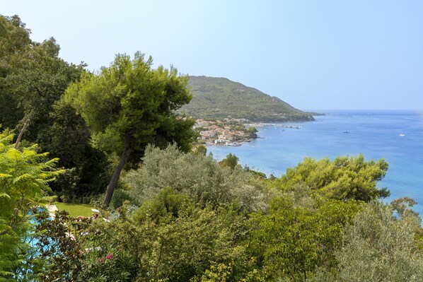 Vistas desde el alojamiento