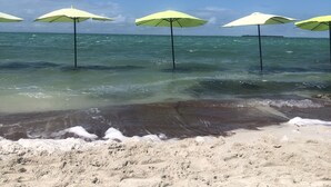 Una playa con varias sombrillas y una orilla arenosa.