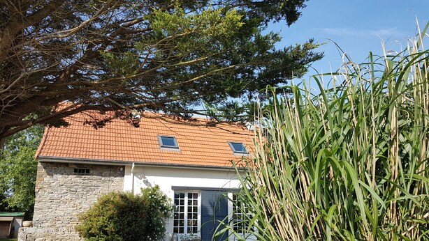 A stone building with a tiled roof, a window, and a door. - Charming cottage "La Casa Céline", near the sea (Surtainville)