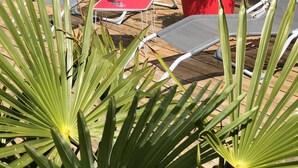 A wooden deck with two lounge chairs, a small table, and a potted plant. - Charming cottage "La Casa Céline", near the sea (Surtainville)