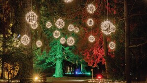 A tree with lights and ornaments. - Urban Inn (Innsbruck)