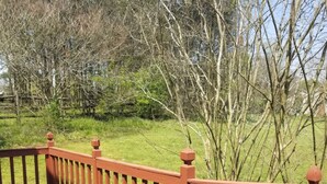 A wooden deck with a red railing, surrounded by trees and grass. - Cozy home minutes from PNC and Nascar Speedway (Charlotte)