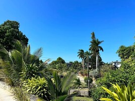 Un exuberante jardín con diversas plantas tropicales y palmeras.