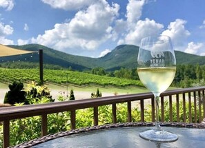 Property grounds - My Alpine Shack - Luxury Cabin / Walk to Downtown / Hot tub (Helen)