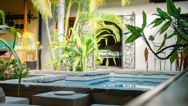 A pool area with stone steps, palm trees, and a stone wall. - Miskitu Casa Boutique (Granada)