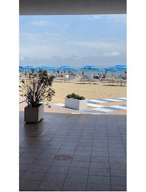 Lettini da mare
