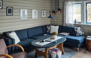 TV connectée, cheminée