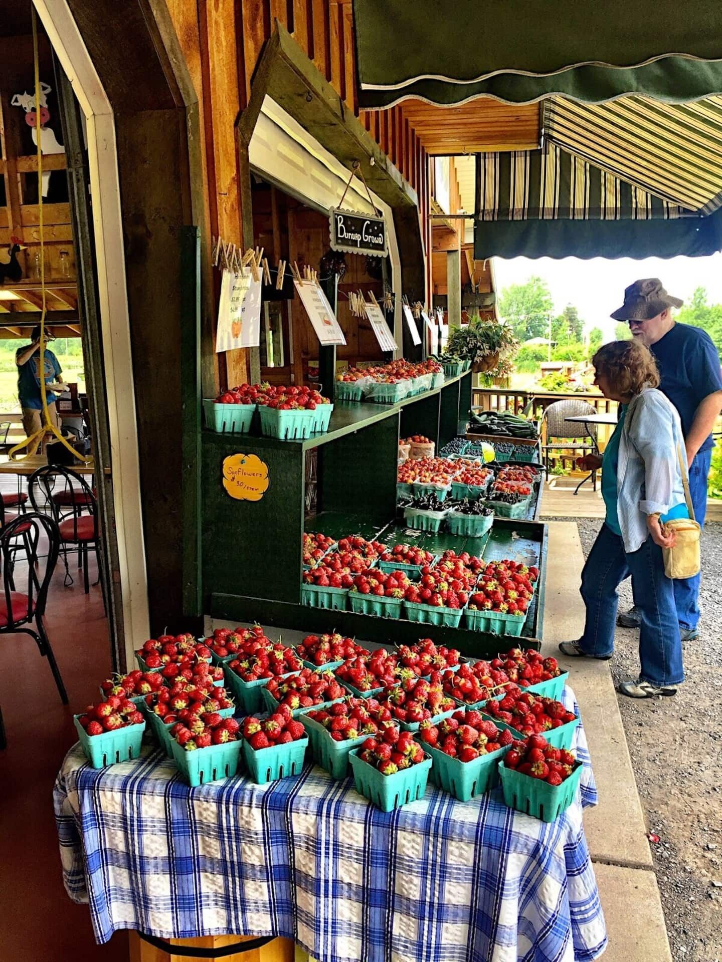 The area is known for fruit farming!  The single largest industry in the entire county is Apple Farming and next Recreation and tourism -waterfront.  Rural peaceful and enjoy a day visiting the farm markets for a great baked goods, and more! 