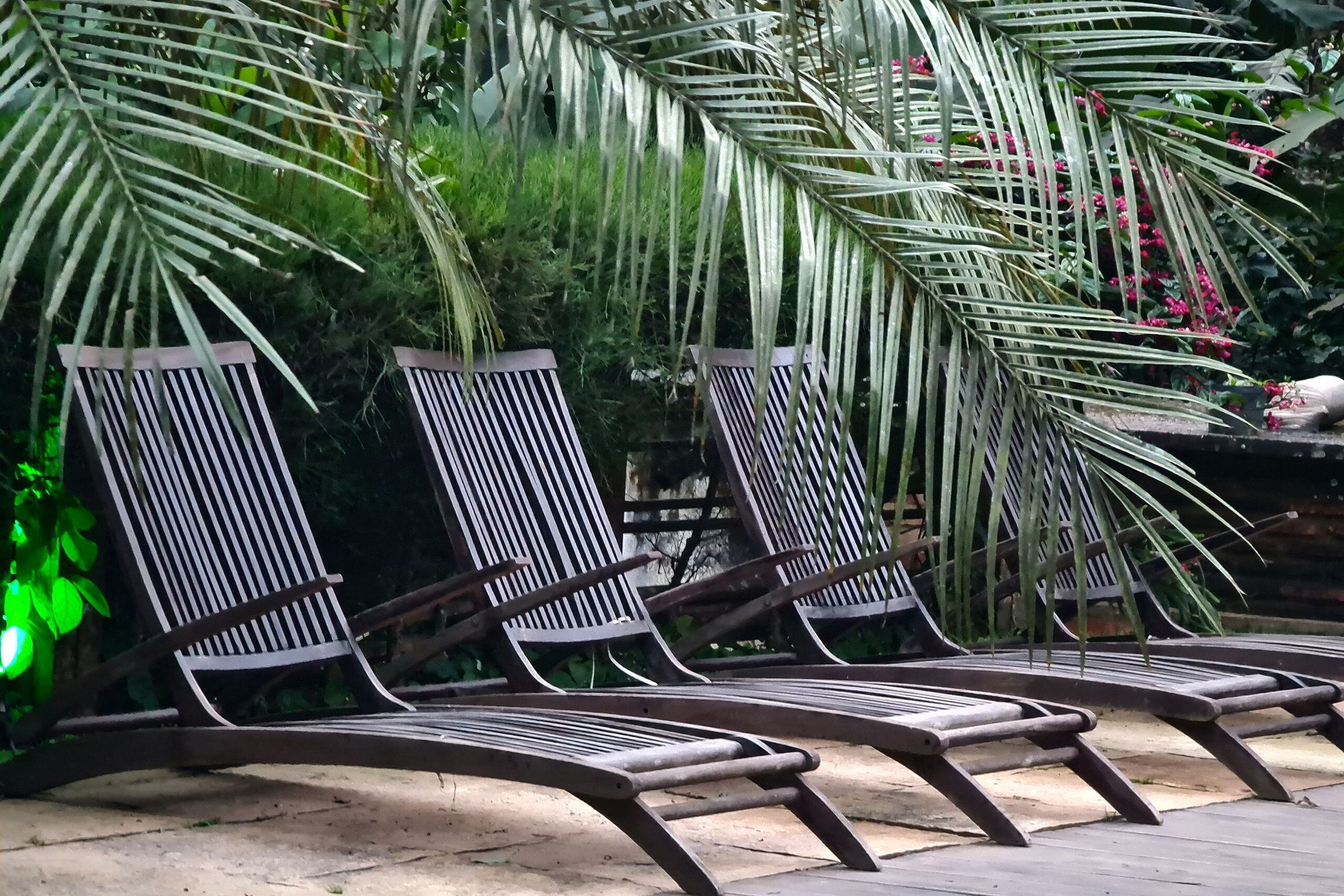 Tres sillones de relax con estructura metálica y listones de madera, ubicados en un jardín con abundante vegetación y un muro de piedra al fondo.