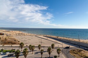 A coastal area with a beach, palm trees, and a road leading to the beach.