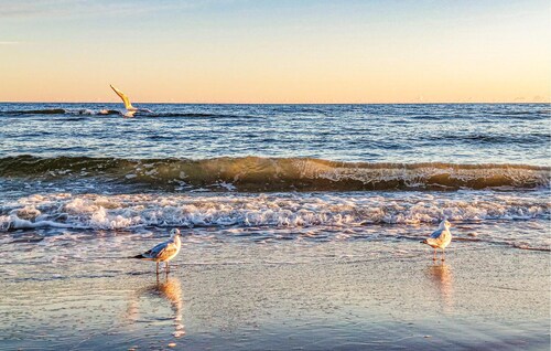 Magnifique appartement à Bedzino avec.